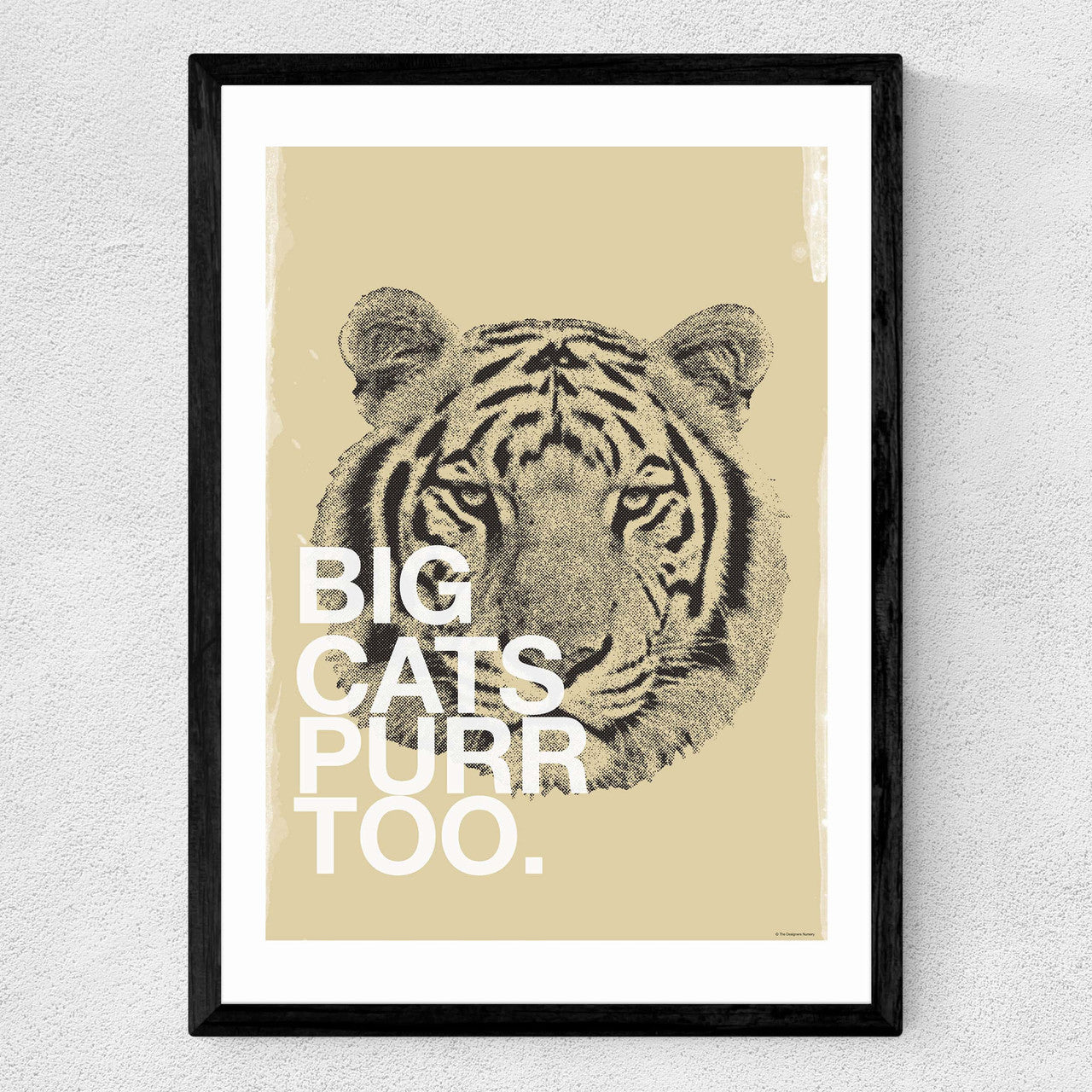 Big Cats Purr Too - INSIDE HOUSE