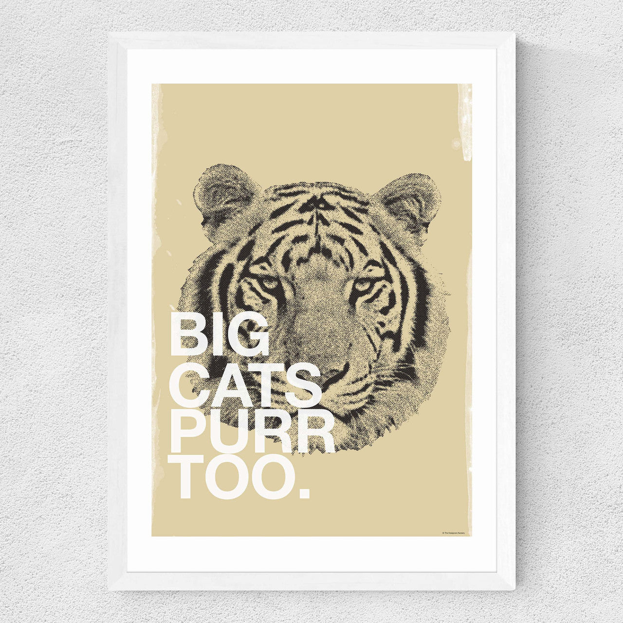 Big Cats Purr Too - INSIDE HOUSE