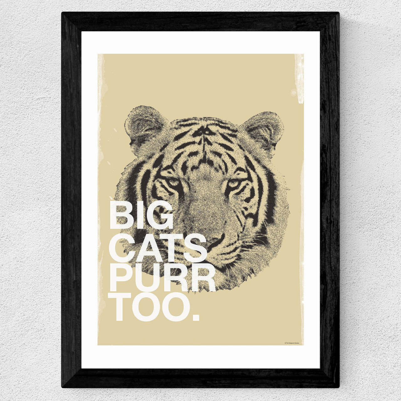 Big Cats Purr Too - INSIDE HOUSE