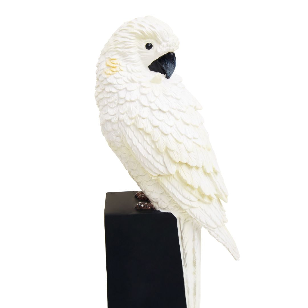 Bohim Parrot Bookends - Inside House 